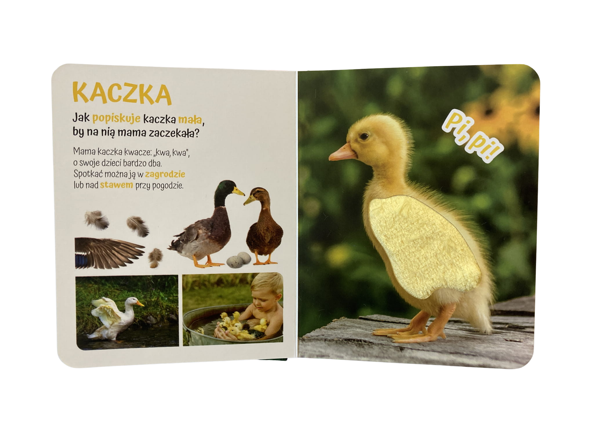 POGŁASZCZ WIEJSKIE ZWIERZĄTKO KSIĄŻKA SENSORYCZNA